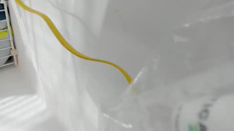 junior_bigcock3 online show from 25, 4, 2026