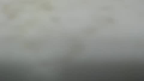 Snapshot of junk_yard_dog chatting on 20, 10, 2025 Dave online show from 20, 10, 2025