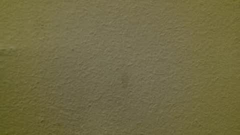 Just marlon online show from 3, 3, 2025