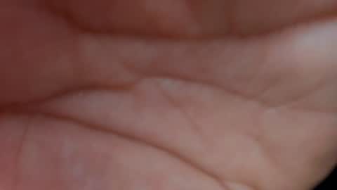 Layla online show from 23, 1, 2025