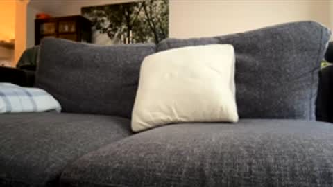 Kevin online show from 4, 12, 2025