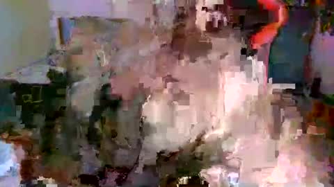 juteja online show from 13, 10, 2025