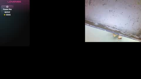 k36620146 online show from 3, 3, 2026