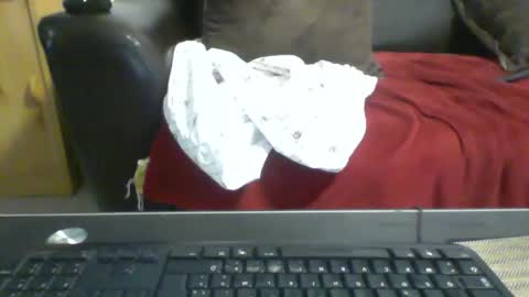 Snapshot of kamkiko69 chatting on 9, 12, 2024 kamkiko69 online show from 9, 12, 2024