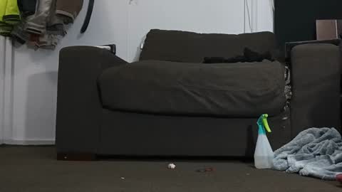 Kandy Dreams online show from 17, 1, 2025