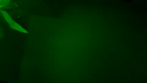 Karla Gonzaless online show from 5, 11, 2025