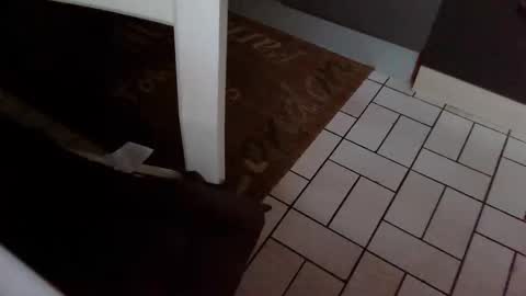 Snapshot of karlodi chatting on 31, 10, 2025 Kev online show from 31, 10, 2025