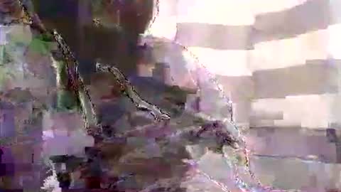 Karlos Montoya online show from 1, 1, 2025