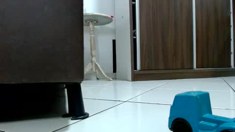 Snapshot of kasaltaradinho chatting on 9, 10, 2025 Tamires e Maicon online show from 9, 10, 2025