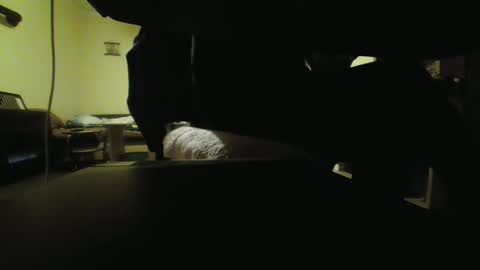 Stojko online show from 18, 10, 2025