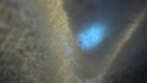 Kate  online show from 16, 4, 2026