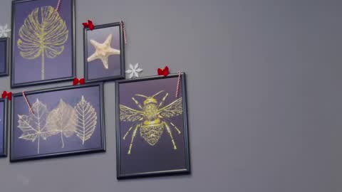 Kate online show from 17, 12, 2024