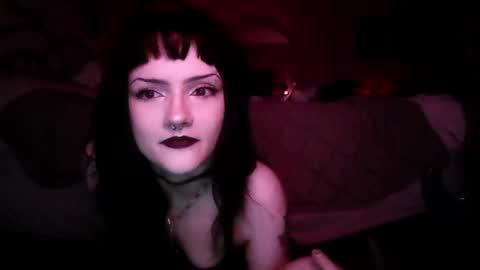 kattattacck online show from 28, 5, 2026