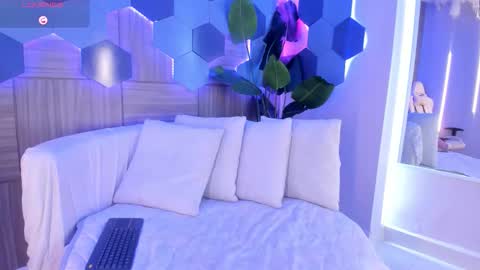    online show from 27, 2, 2026