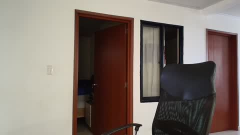 Kauri Lop online show from 13, 12, 2024