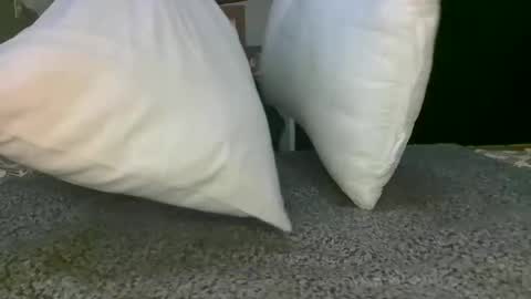 kawaiibabypie online show from 17, 12, 2024