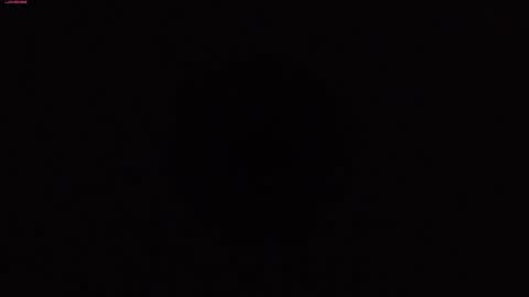 Warya online show from 12, 12, 2024