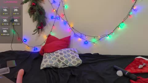 Warya online show from 31, 12, 2024