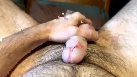 kb542643 online show from 18, 11, 2025