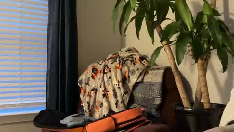 Keaton Keller online show from 17, 10, 2025