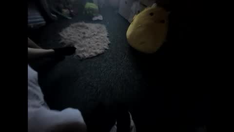 kellyleeee69 online show from 25, 4, 2026