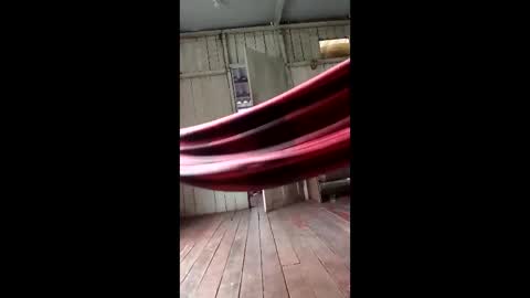 Snapshot of kelpejonh chatting on 17, 3, 2026 kelpejonh online show from 17, 3, 2026