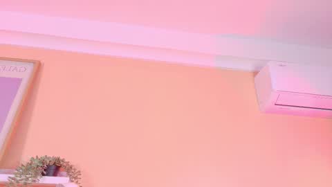   online show from 24, 3, 2026