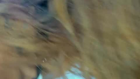 Kendal  online show from 27, 11, 2025