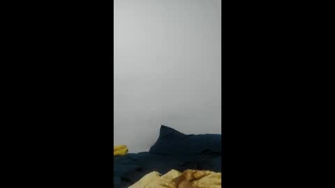 kenzo6140 online show from 30, 3, 2026