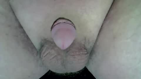 maggot online show from 5, 4, 2026