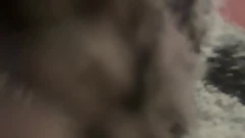 Snapshot of kg1726860 chatting on 11, 10, 2025 kg1726860 online show from 11, 10, 2025