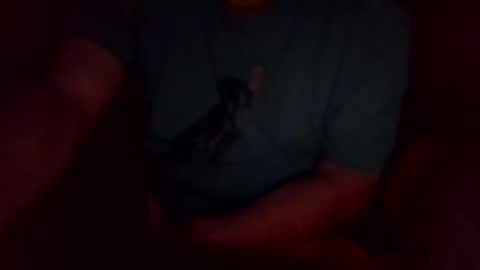 Snapshot of khw444 chatting on 20, 9, 2025 jesse444 cum show online show from 20, 9, 2025