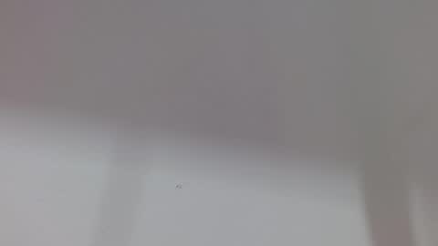 Melody online show from 11, 10, 2025