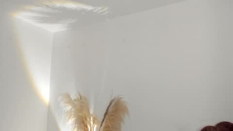 Kim Murphy online show from 14, 3, 2026