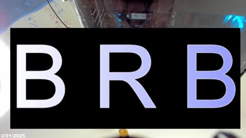 Kimberly 3 online show from 13, 1, 2025