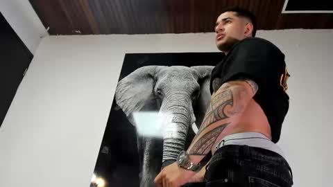 Angel Falconer online show from 26, 10, 2025