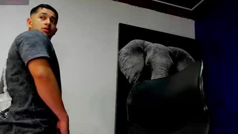 Angel Falconer online show from 17, 11, 2025