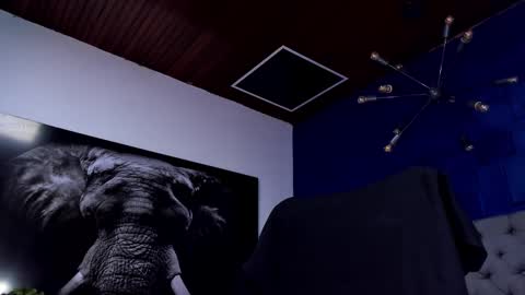 Angel Falconer online show from 18, 1, 2026