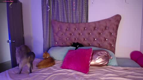  Sara  online show from 11, 12, 2024