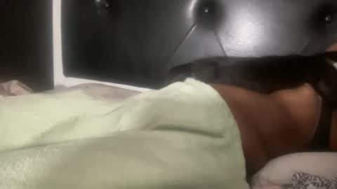 Snapshot of kinkykittee chatting on 3, 2, 2025 Bunniii online show from 3, 2, 2025