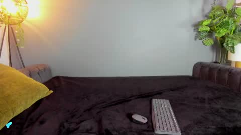 kira_exe online show from 22, 6, 2026