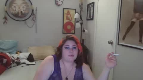 Kitten and rebellious online show from 10, 1, 2025