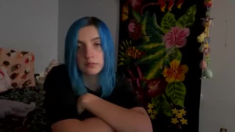 Snapshot of kitten4sale666 chatting on 6, 12, 2024 Kitty online show from 6, 12, 2024