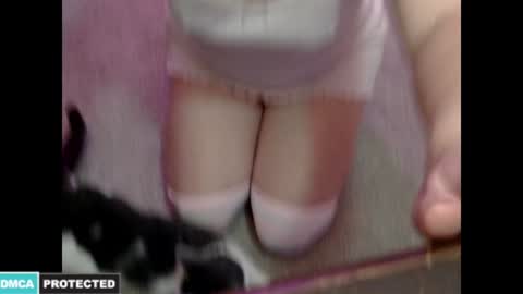 Snapshot of kitten4sale666 chatting on 16, 1, 2025 Kitty online show from 16, 1, 2025