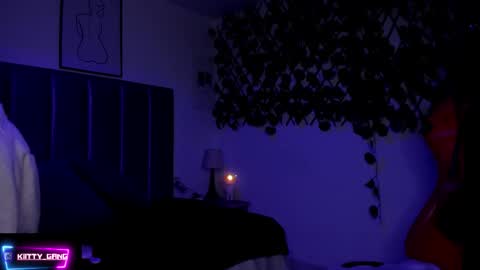 Snapshot of kitty_gang chatting on 15, 11, 2025 Camila online show from 15, 11, 2025