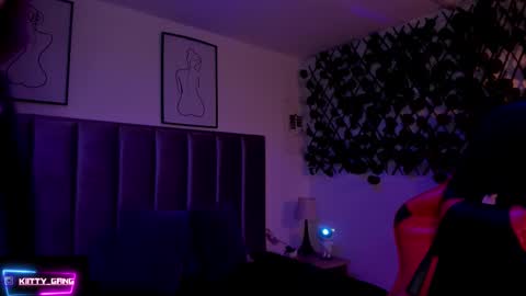 Snapshot of kitty_gang chatting on 18, 11, 2025 Camila online show from 18, 11, 2025