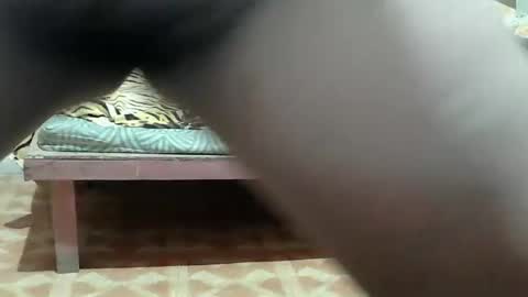 Kitty online show from 25, 3, 2026