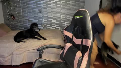 violet online show from 15, 9, 2025