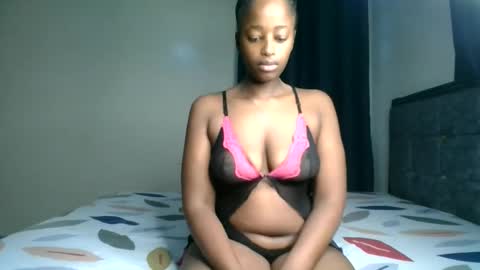 Kittypettite online show from 12, 3, 2026