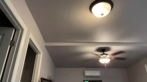 kittypurr79 online show from 17, 9, 2025